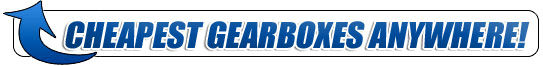 Check Out Our New & Improved Catalog!