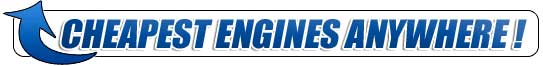 Check Out Our New & Improved Catalog!