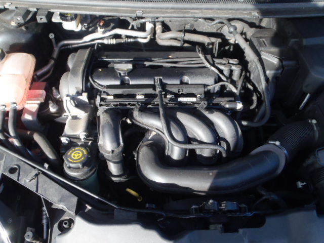 FORD FOCUS MK 2 DA 2004 - 2025 1.6 - 1596cc 16v SHDA petrol Engine Image