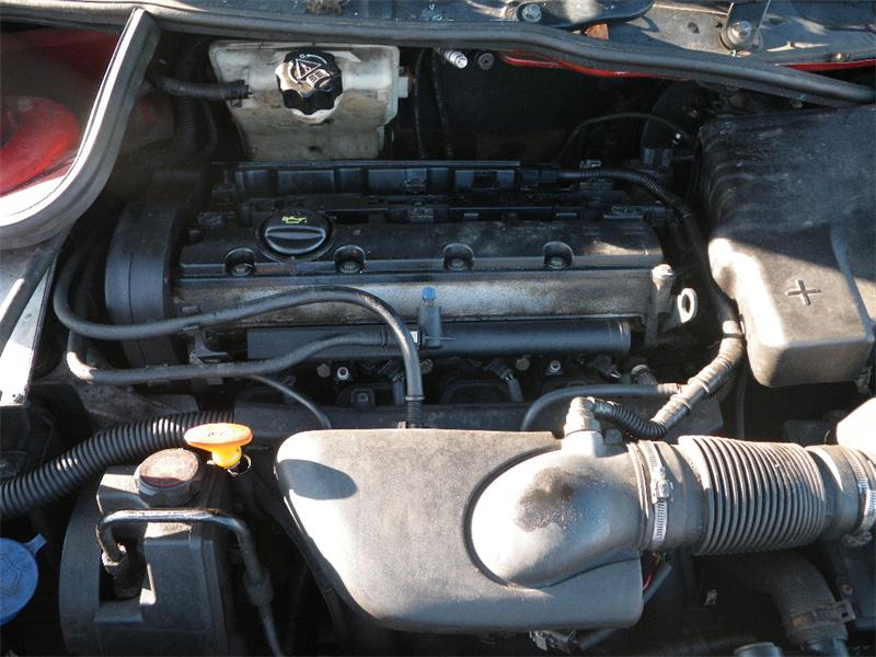 PEUGEOT 206 2A/C 1999 - 2000 2.0 - 1997cc 16v RFR(DEW10J4) petrol Engine Image