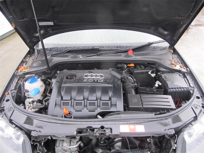 AUDI A3 8P1 2003 - 2012 2.0 - 1968cc 16v TDI CLJA diesel Engine Image