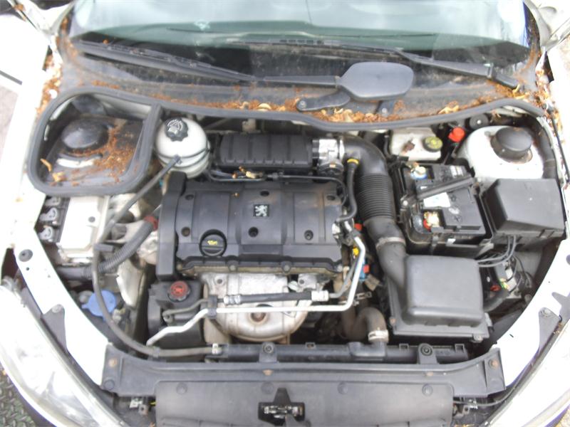 PEUGEOT 206 2A/C 2000 - 2026 1.6 - 1587cc 16v NFU(TU5JP4) petrol Engine Image
